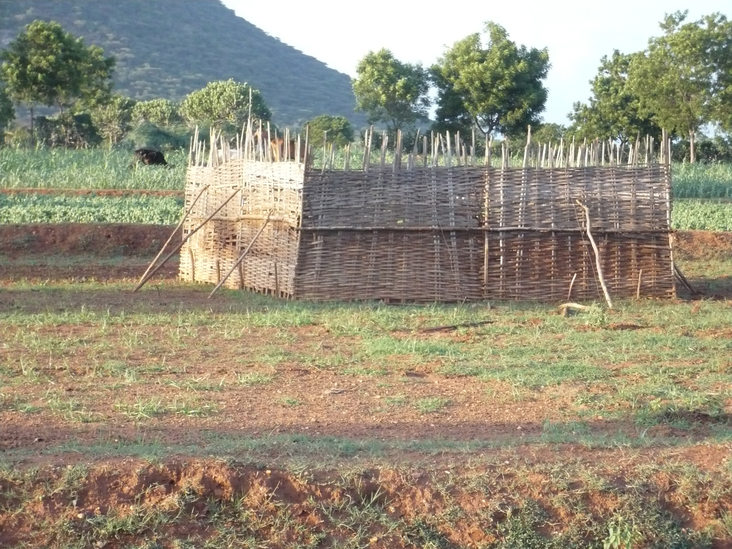 Aatupatti