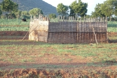 Aatupatti